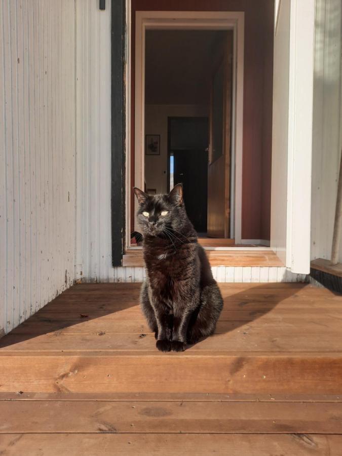 Joey'S Appartamento Skjervoy Esterno foto