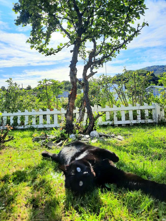 Joey'S Appartamento Skjervoy Esterno foto
