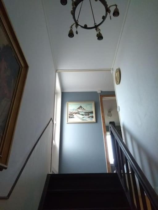 Joey'S Appartamento Skjervoy Esterno foto